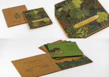 Pichwai Craft Paper Wedding Card Design BM 520