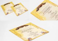 Designer Engagement Invitation LM 848