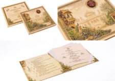 Peacock Theme Padded Wedding Card RR 1076